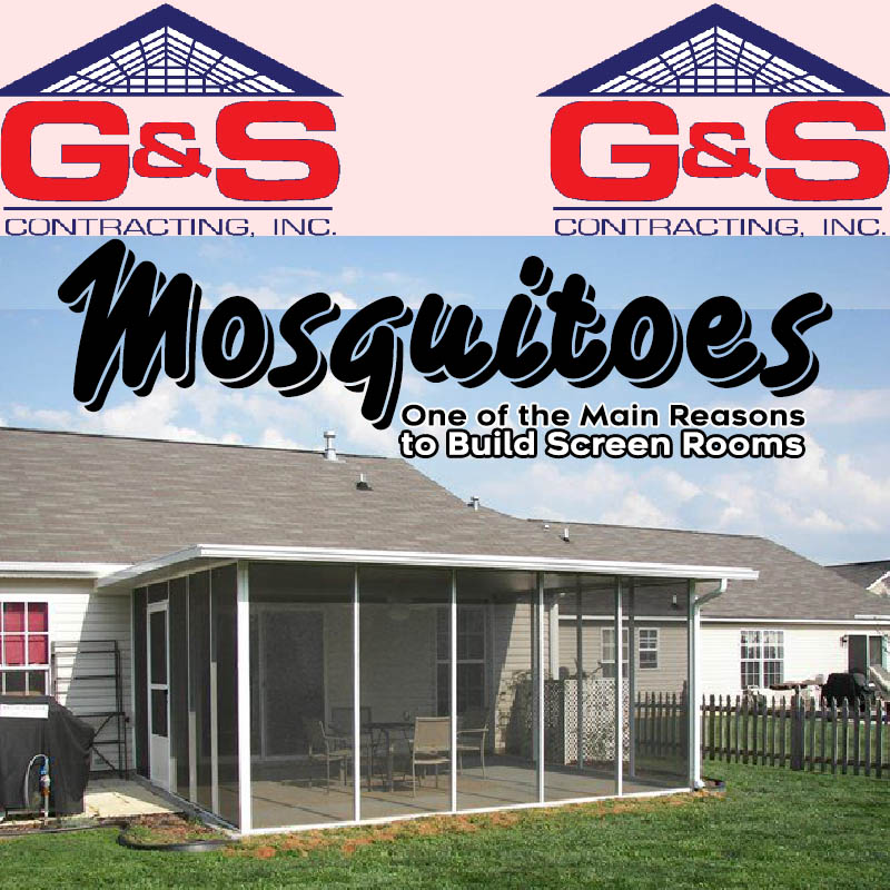 Mosquitoes…One of the Main Reasons to Build Screen Rooms