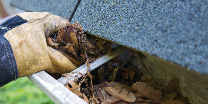 Save Time and Money with No-Clog Gutters